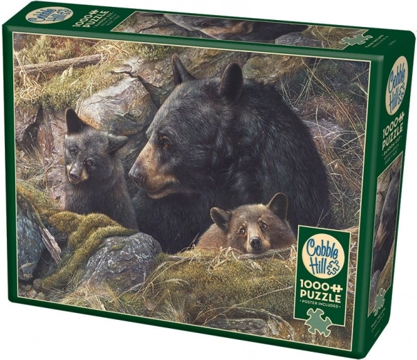 Obraz medvedej rodiny