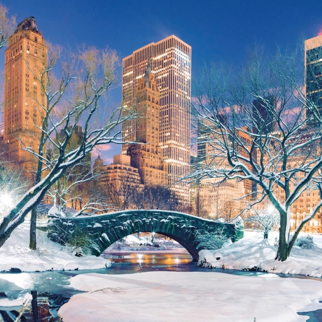 Poznámkový kalendár New York 2026