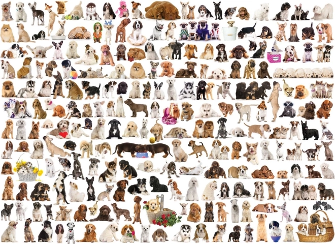 Eurographics puzzle svet psov 1000 dielikov