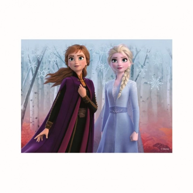 Drevené licenčné kocky Frozen II – 12 kociek