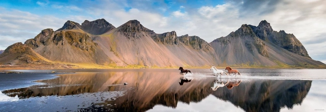 Panoramatické puzzle Koně Islandu 1000 dielikov