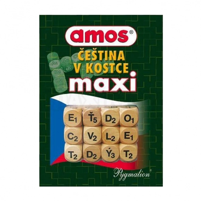 Čeština v kostce maxi