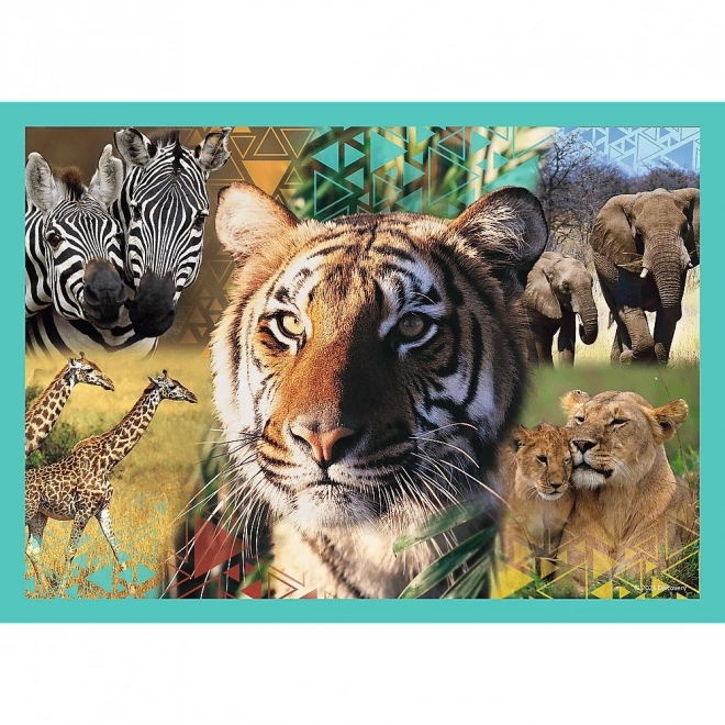 Trefl puzzle Animal Planet: Záhadný svet zvierat 4v1