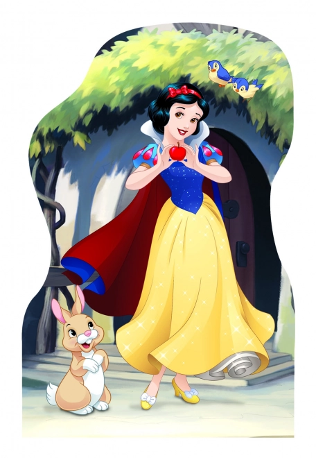 Puzzle Disney Princezné 4x54 dielikov