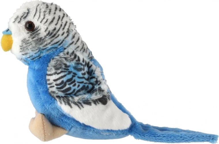 Realistické detaily peria a vzhľadu