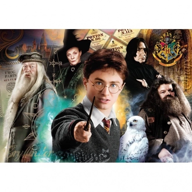 Puzzle 1000 kusov Compact Harry Potter