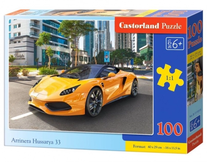 Castorland Puzzle Arrinera Hussarya 100 dielikov