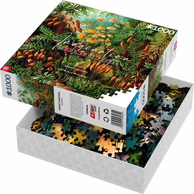 Good Loot puzzle Imagination: Ernst Haeckel - Muscinae 1000 dielikov
