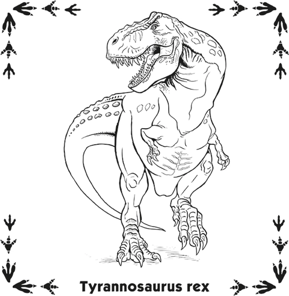 Pexeso Dinosaury