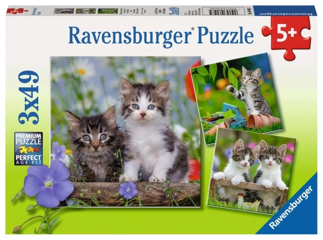 Ravensburger puzzle mačiatka 3x49 dielikov