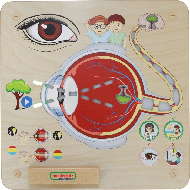 Masterkidz Edukačné Tabule Zrak Montessori