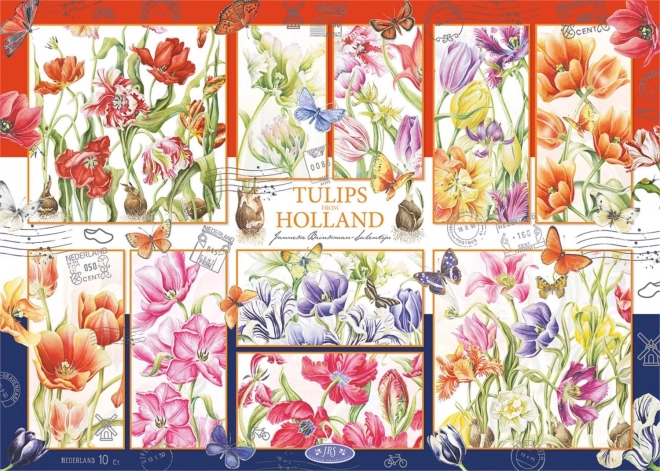 Puzzle Holandské tulipány 1000 dielikov