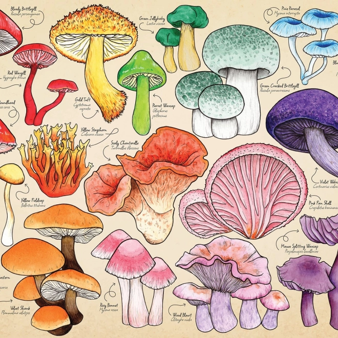 Puzzle Hubová mánia 1000 dielikov