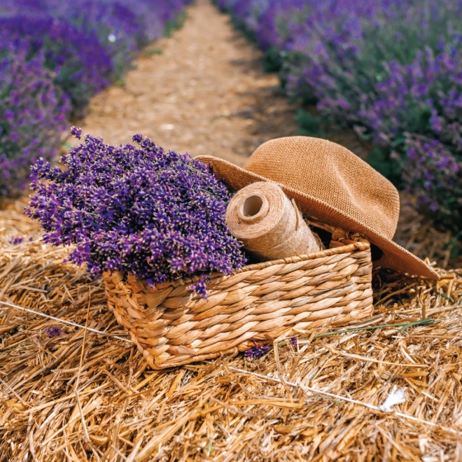Poznámkový kalendár Provence 2026