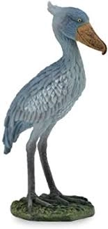 Collecta Člunozobec africký