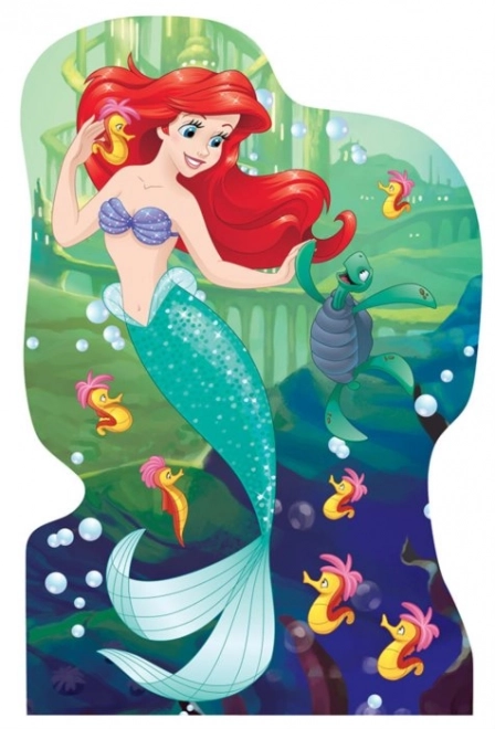 Puzzle Disney Princezné 4x54 dielikov