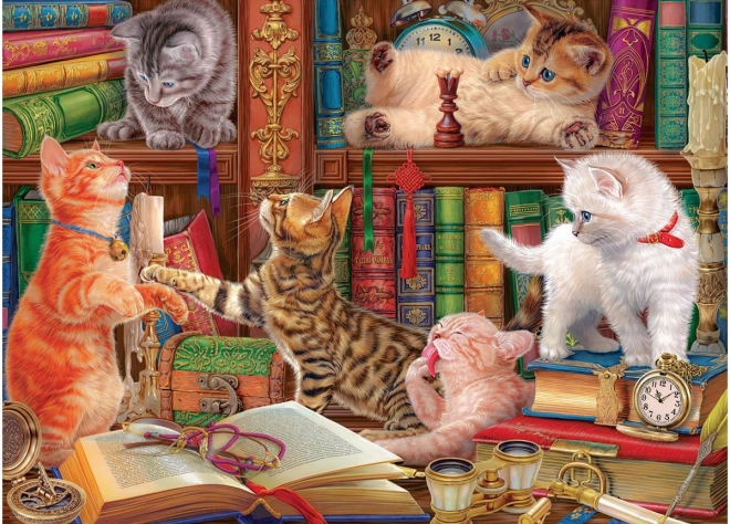 Puzzle Mačacia knižnica 1000 dielikov