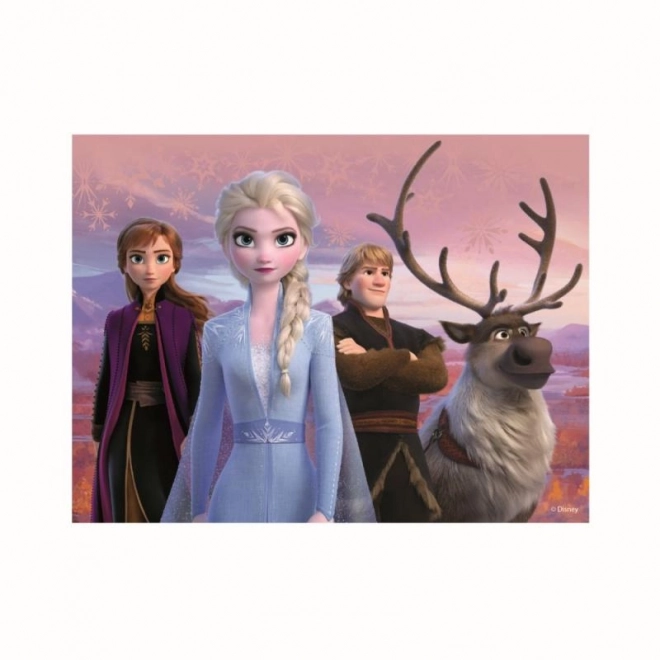 Drevené licenčné kocky Frozen II – 12 kociek