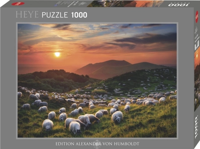 Puzzle Ovce A Sopky 1000 Dielikov