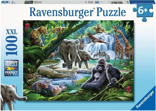 Puzzle Zvieratá z džungle XXL 100 dielikov