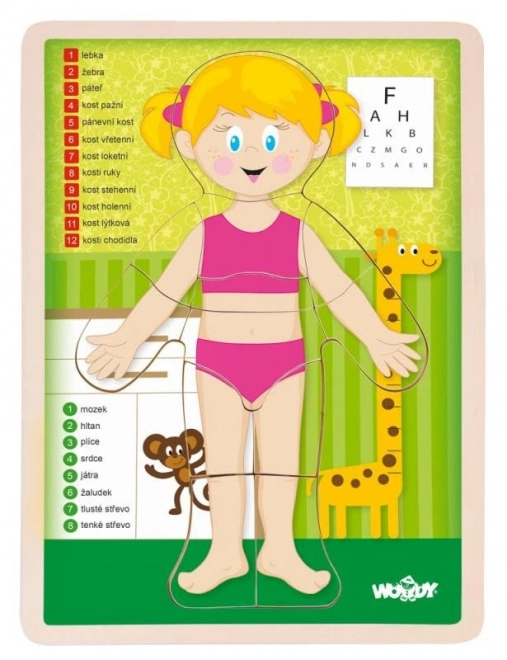 Puzzle Ľudské telo - Dievča