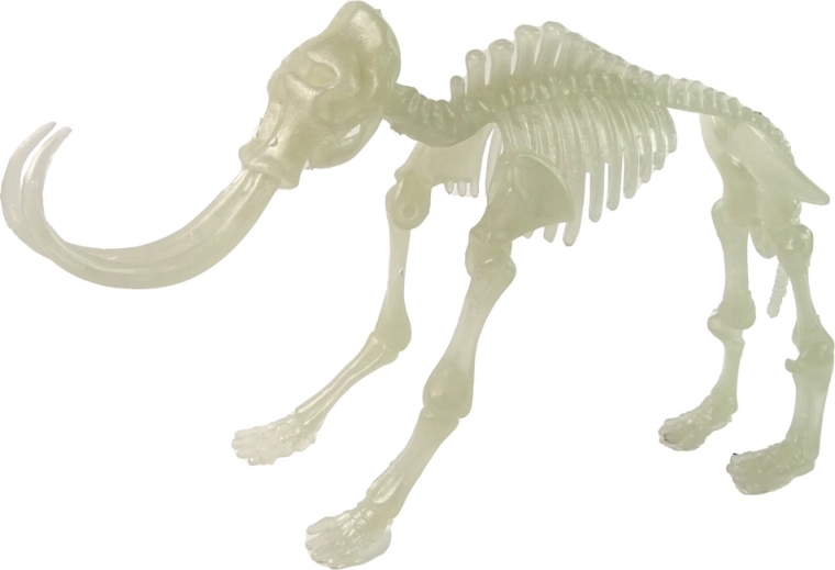 Skvelá svetelná šou