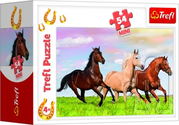 Krásne motívy koní