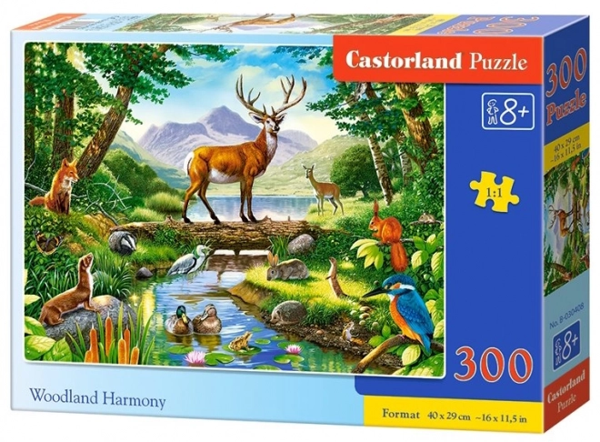 Puzzle Harmónia lesa 300 dielikov