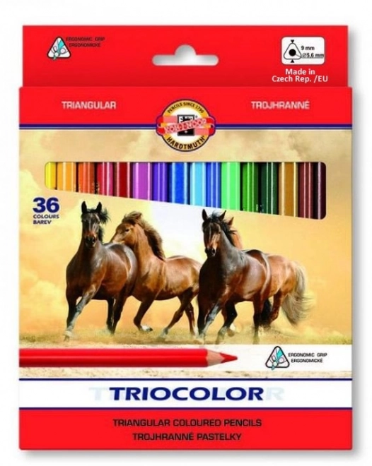 Trojhranné pastelky KOH-I-NOOR Triocolor 3145 - 36ks