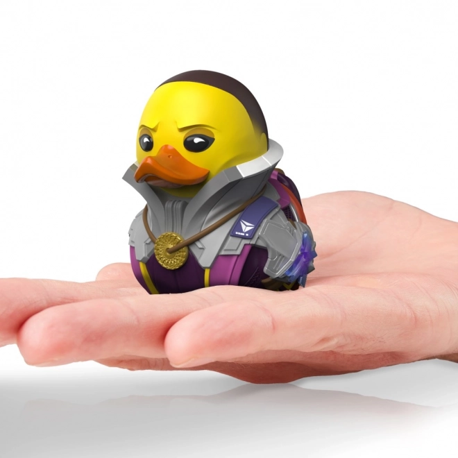 Kačička Destiny Ikora