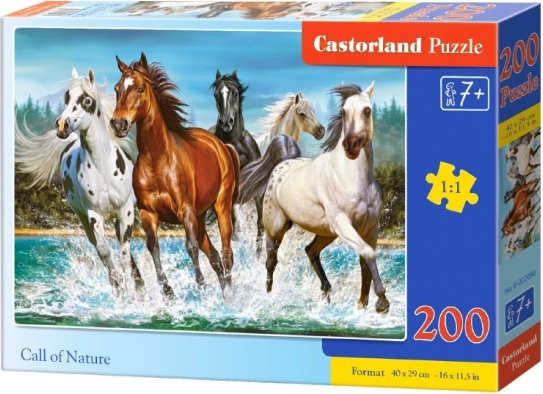 Puzzle Volanie prírody