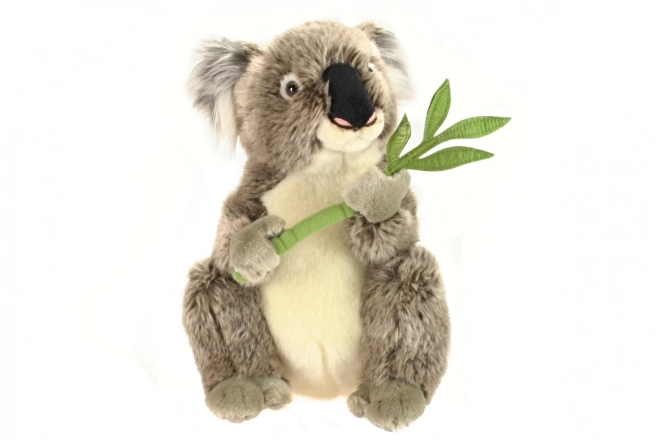 Plyšová koala