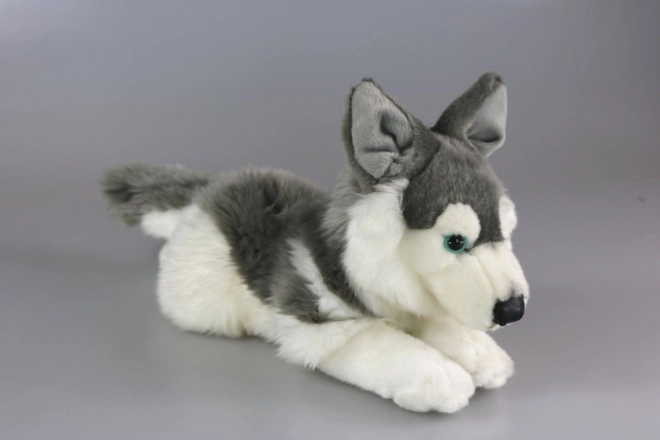 Plyšový husky 34 cm