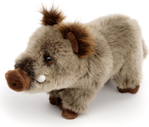 Realistické detaily diviaka