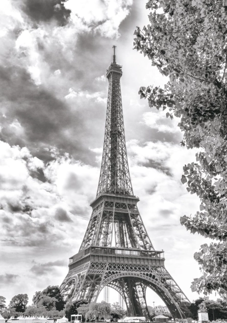 Historický Parížsky symbol