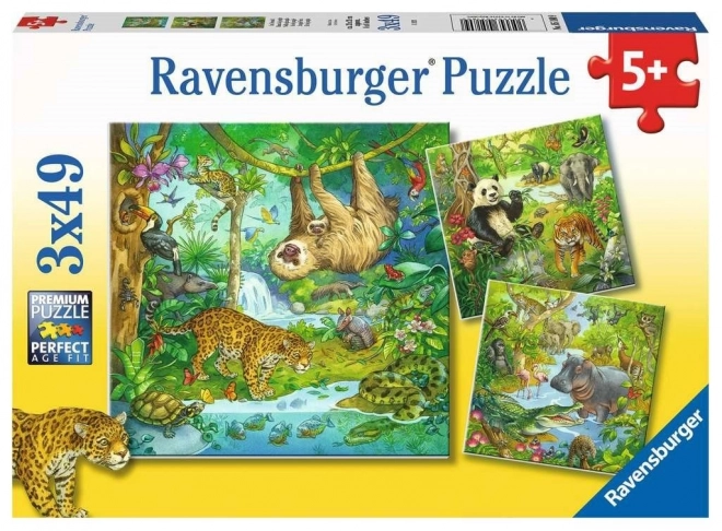 Ravensburger Puzzle Zvieratá v džungli 3x49 dielikov