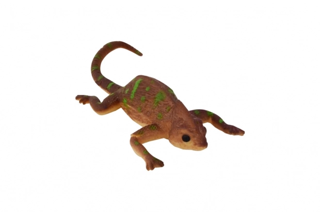 Farebný chameleón – Magický zážitok