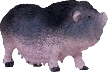 Vzdelávacia hodnota