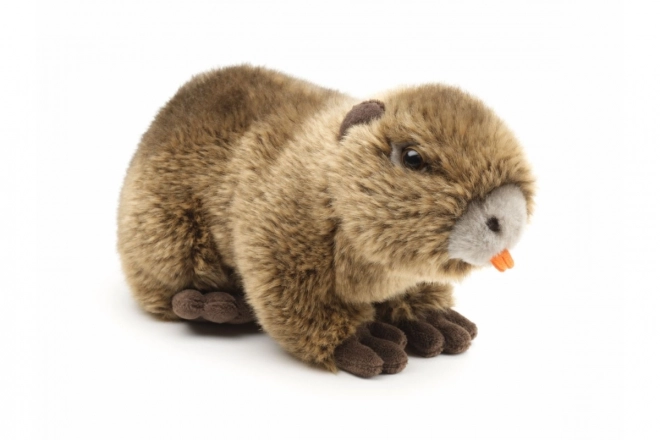 Plyšová nutria 22 cm