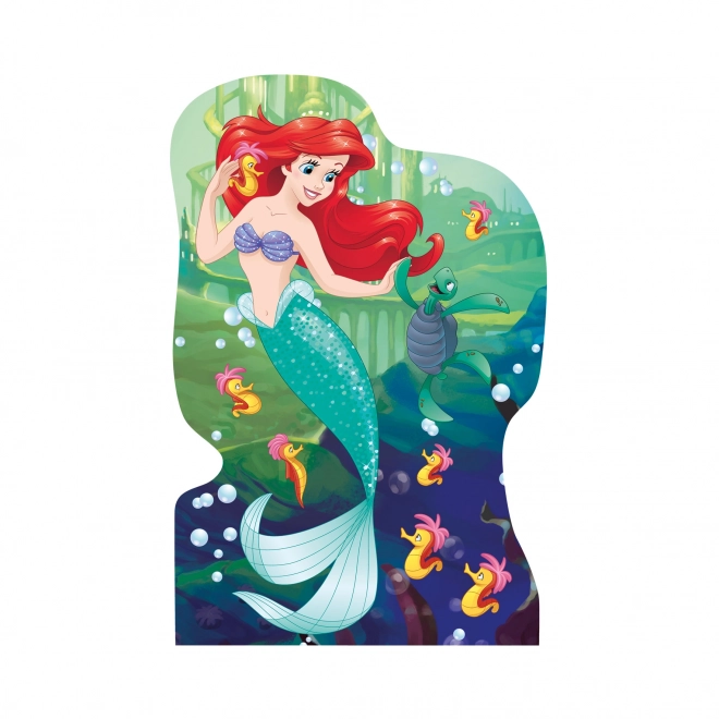 Puzzle Disney Princezné 4x54 dielikov