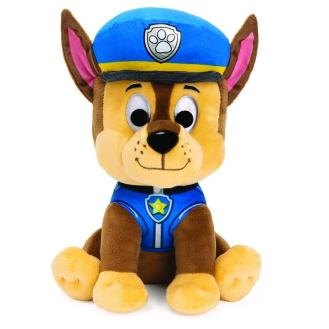 Detailná policajná uniforma