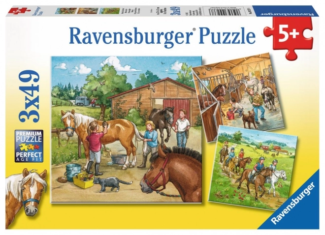 Ravensburger puzzle Pri koňoch 3x49 dielikov