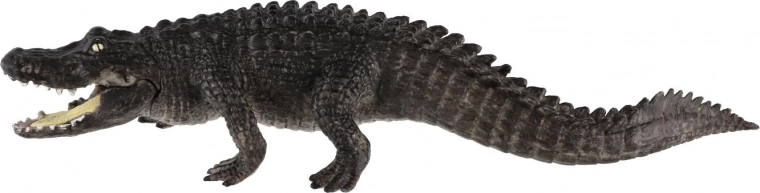 Ideálne na vzdelávanie a zberateľstvo