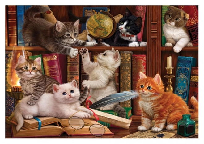 Puzzle Mačičky v knižnici 500 dielikov