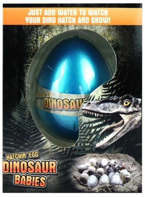 Rastúce vajce Dinosaurus 1ks