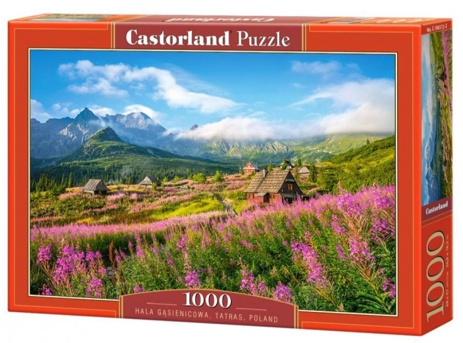 Puzzle Dolina Gąsienicowa, Tatry 1000 dielikov