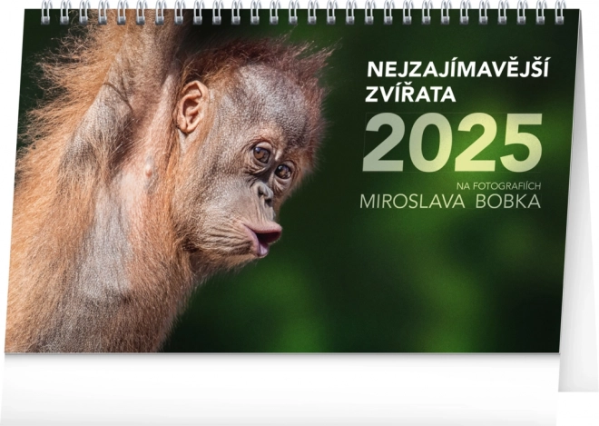 Stolný kalendár Najzaujímavejšie zvieratá 2025