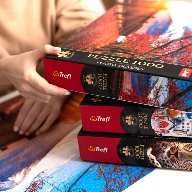 Puzzle Premium Plus Quality Svet vtákov