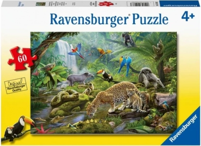 Ravensburger puzzle Zvieratá v dažďovom pralese 60 dielikov