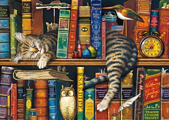 Puzzle Frederick Gramotný 1000 Dielikov